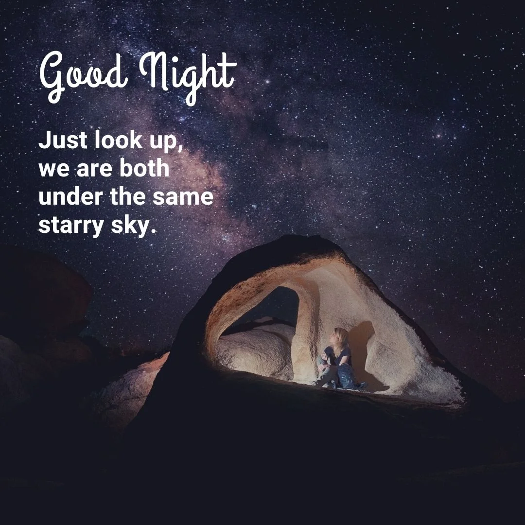 100+ Good night Quote Images frew to download 23